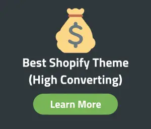 Best Shopify Theme